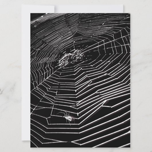 Spinnenwebben en witte spinnen Halloween Party Kaart (Achterkant)