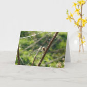 spinnenwebbokeh kaart (Gele Bloem)