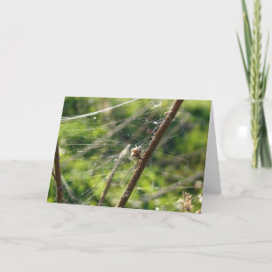 spinnenwebbokeh kaart