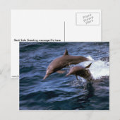Spinner dolphin briefkaart (Voorkant / Achterkant)