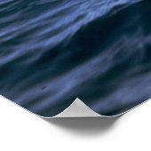 Spinner dolphin poster (Hoek)