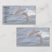 Spinner dolphin visitekaartje (Voorkant / Achterkant)