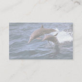 Spinner dolphin visitekaartje (Achterkant)