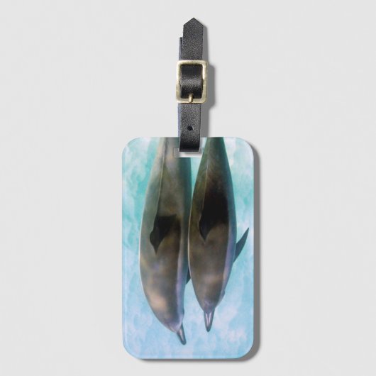 Spinner Dolphins | Oahu Hawaii Bagagelabel (Voorkant (verticaal))