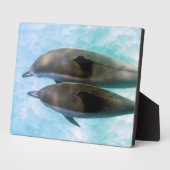 Spinner Dolphins | Oahu Hawaii Fotoplaat (Zijkant)