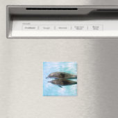 Spinner Dolphins | Oahu Hawaii Magneet (Insitu (Vaatwasser))