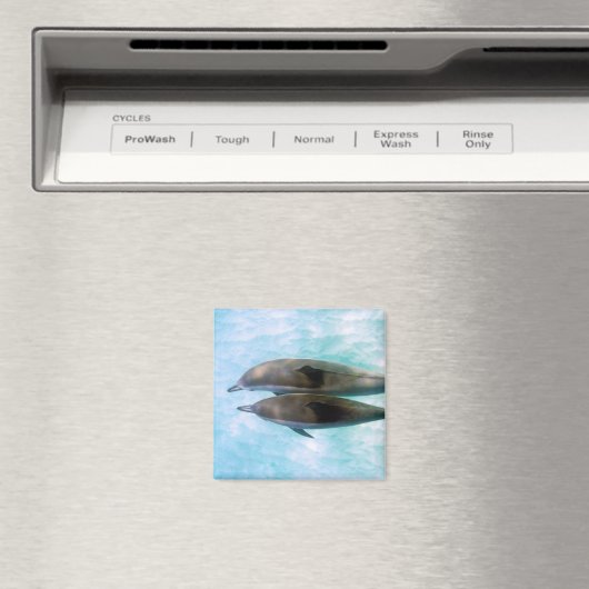 Spinner Dolphins | Oahu Hawaii Magneet (Insitu (Vaatwasser))