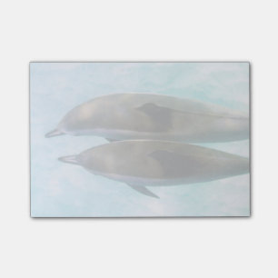 Spinner Dolphins   Oahu Hawaii Post-it® Notes