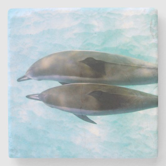 Spinner Dolphins | Oahu Hawaii Stenen Onderzetter (Voorkant)