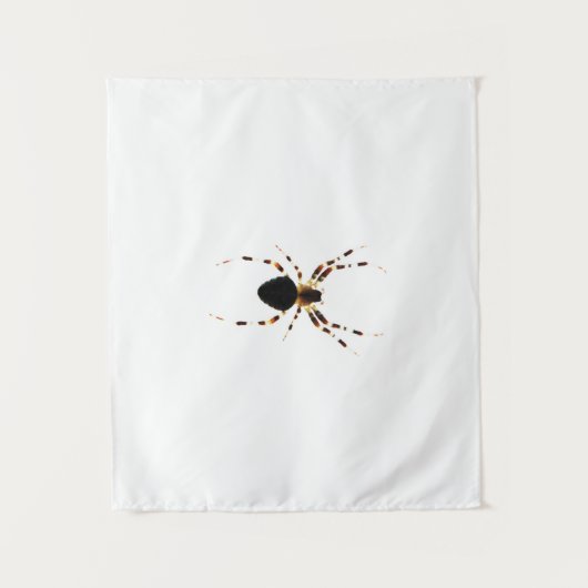 Spinnetje Wandkleed (Voorkant)