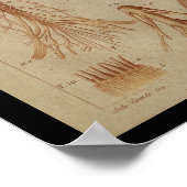 Spinnetsnoer voor hersenen  anatomische afdrukken poster (Hoek)