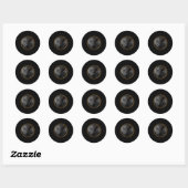 Spinneweb Arachnide Maan Zonne Ronde Sticker (Vel)