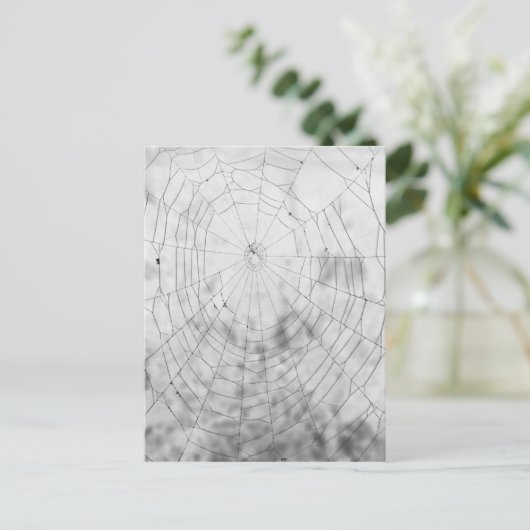 spinneweb briefkaart (Staand voorkant)