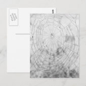 spinneweb briefkaart (Voorkant / Achterkant)