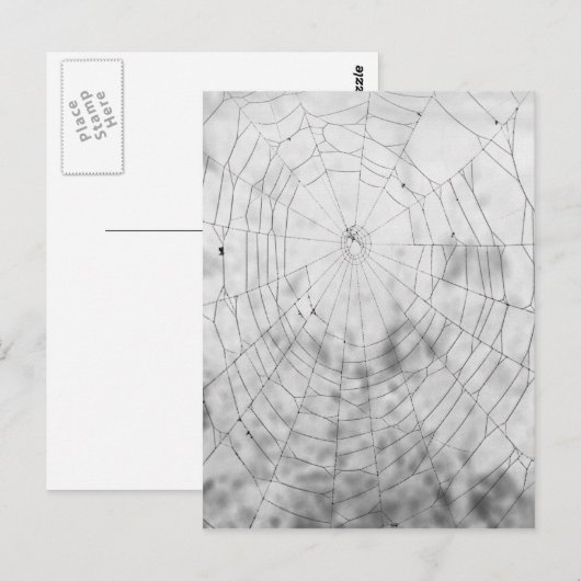 spinneweb briefkaart (Voorkant / Achterkant)