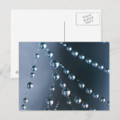 Spinneweb met Druppeltjes Briefkaart (Voorkant / Achterkant)