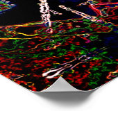 spinneweb poster (Hoek)