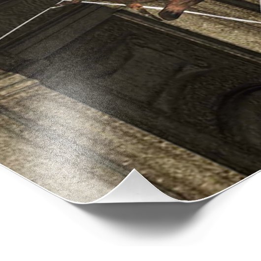 Spinneweb van vampier foto afdruk (Hoek)