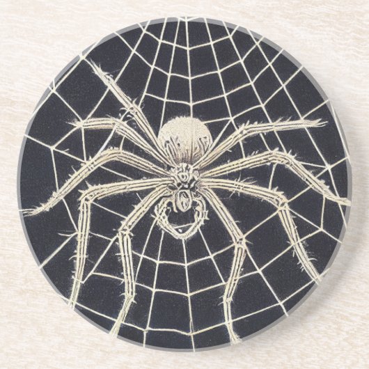  spinneweb zandsteen onderzetter (Voorkant)