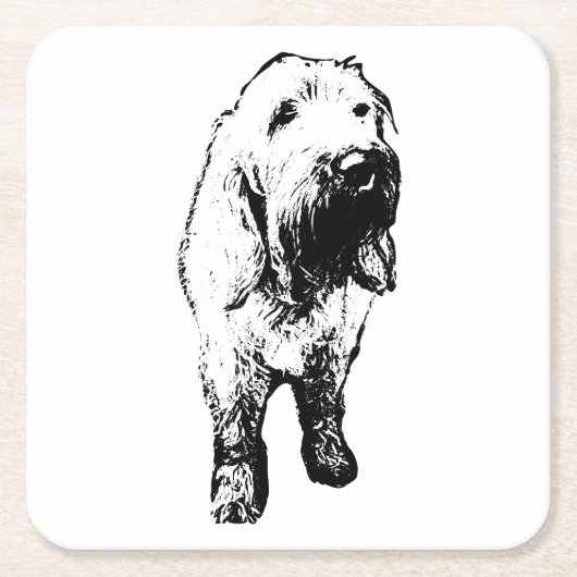 Spinone-hondonderzetter – Staand ontwerp met ruwe  Kartonnen Onderzetters (Voorkant)
