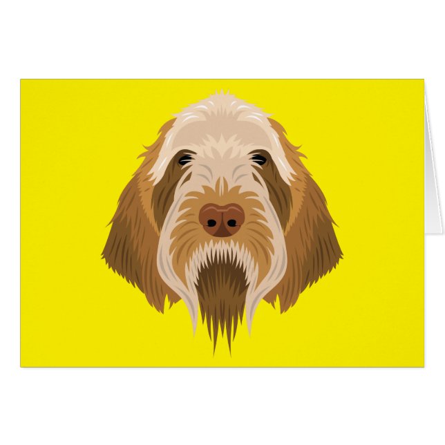Spinone Italiano (Voorkant Horizontaal)