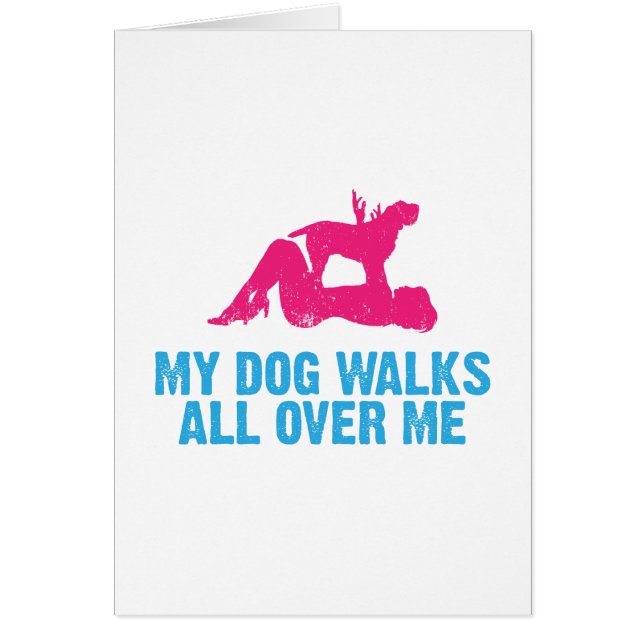 Spinone Italiano (Voorkant)