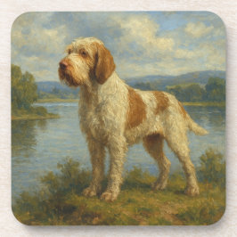Spinone Italiano Bier Onderzetter