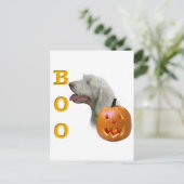 Spinone Italiano Boo Briefkaart (Staand voorkant)