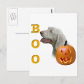 Spinone Italiano Boo Briefkaart (Voorkant / Achterkant)
