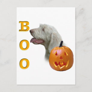 Spinone Italiano Boo Briefkaart