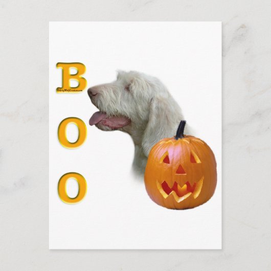 Spinone Italiano Boo Briefkaart (Voorkant)