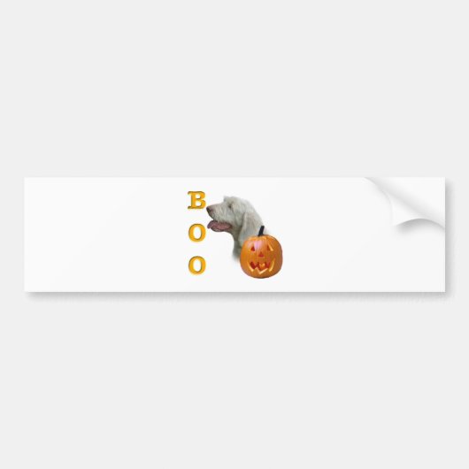 Spinone Italiano Boo Bumpersticker (Voorkant)