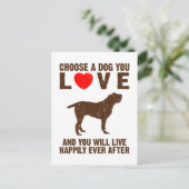 Spinone Italiano Briefkaart (Staand voorkant)