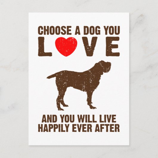 Spinone Italiano Briefkaart (Voorkant)