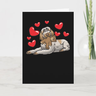Spinone Italiano dog met gestudeerde dieren en Kaart