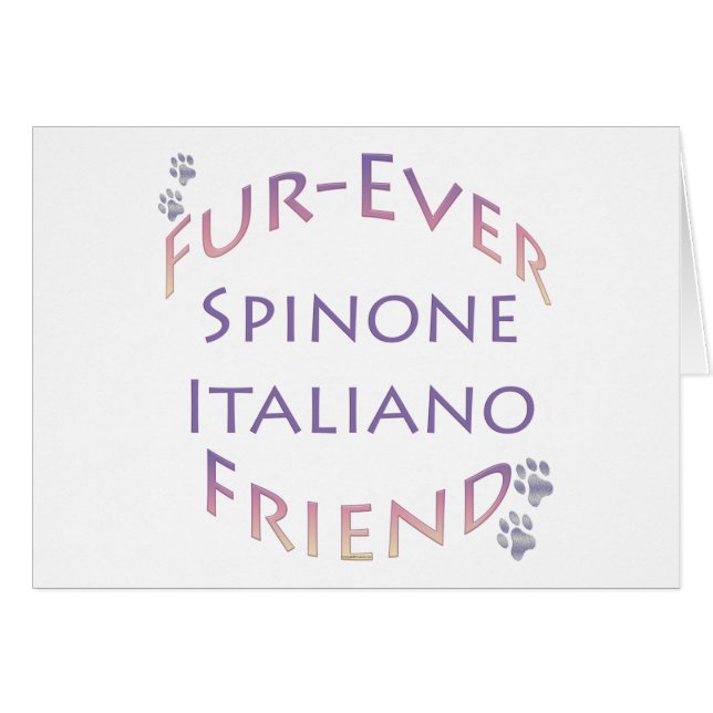 Spinone Italiano Furever Vriend (Voorkant Horizontaal)