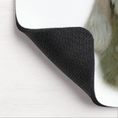 Spinone Italiano Geschiedenis Ontwerp Muismat (Hoek)