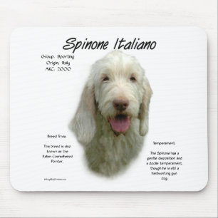Spinone Italiano Geschiedenis Ontwerp Muismat