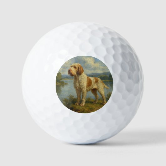 Spinone Italiano Golfballen (Voorkant)