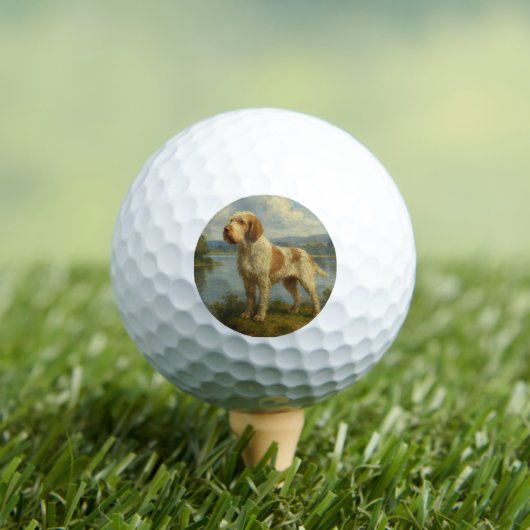 Spinone Italiano Golfballen (Insitu Shirt)
