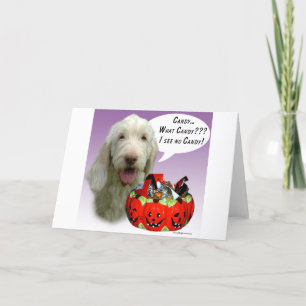 Spinone Italiano Halloween Snoep Kaart