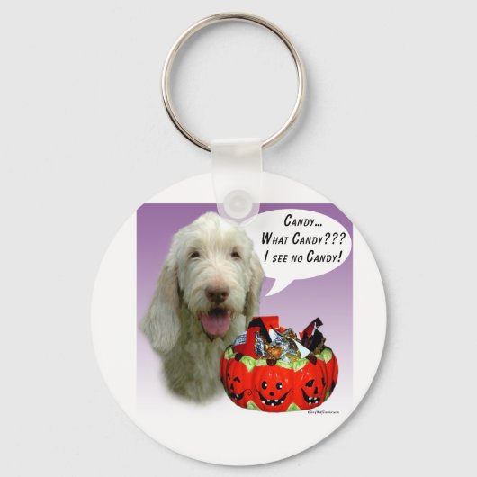 Spinone Italiano Halloween Snoep Sleutelhanger (Voorkant)