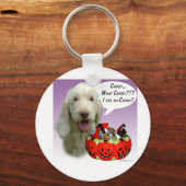 Spinone Italiano Halloween Snoep Sleutelhanger (Voorkant)