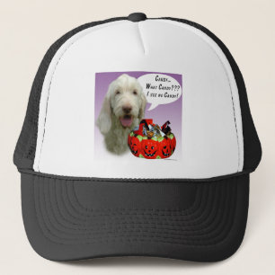 Spinone Italiano Halloween Snoep Trucker Pet
