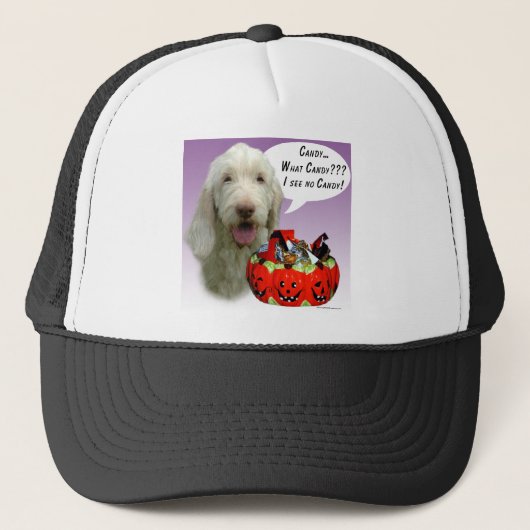 Spinone Italiano Halloween Snoep Trucker Pet (Voorkant)