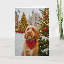 Spinone Italiano Holiday Card Feestdagen Kaart