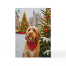 Spinone Italiano Kerstkaart