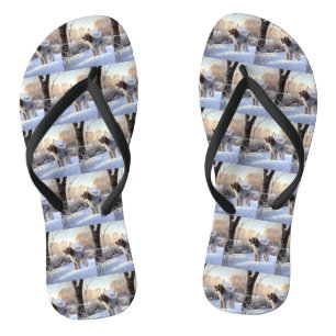 Spinone Italiano Laat het Sneeuwen Kerstmis Teenslippers