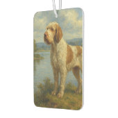 Spinone Italiano Luchtverfrisser (Links)