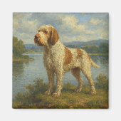 Spinone Italiano Magneet (Voorkant)